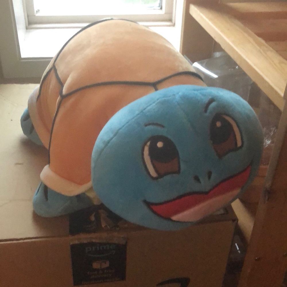 Squirtle pillow